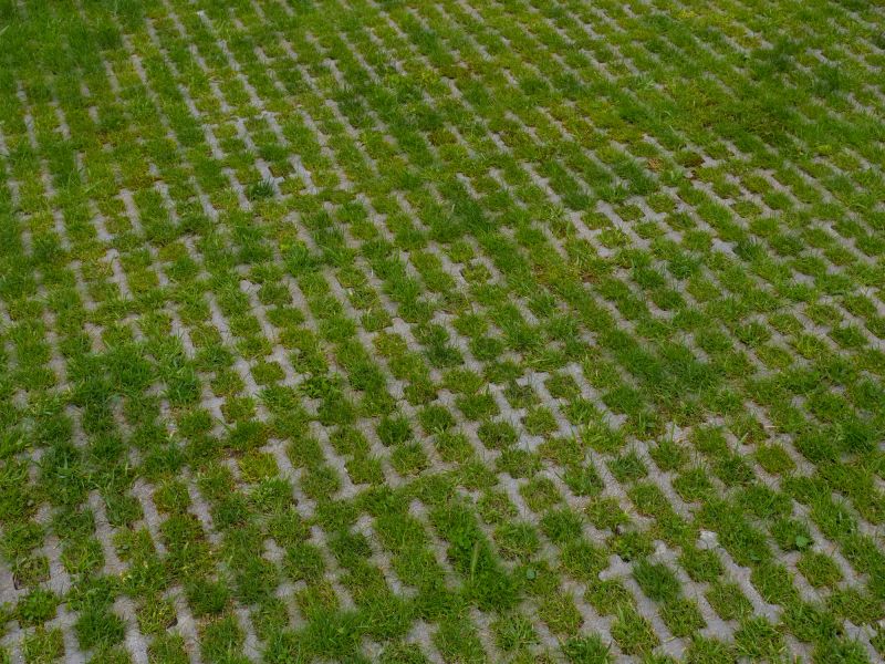 Winter Preparation for Pavers