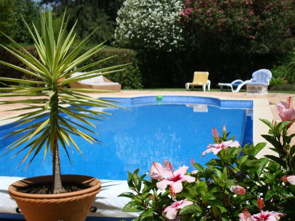 Cost of Pool Terrace Renovation in Bel Air